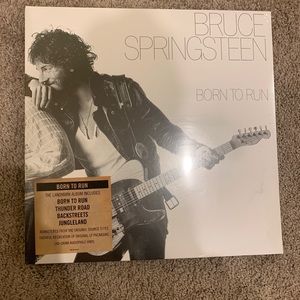 Bruce Springsteen vinyl /record
